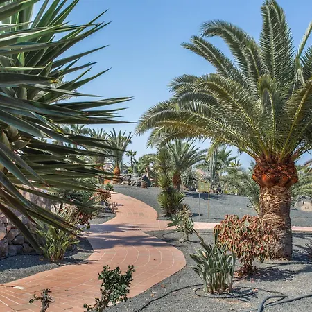 Vakantiehuis Oasis Royal E204 *